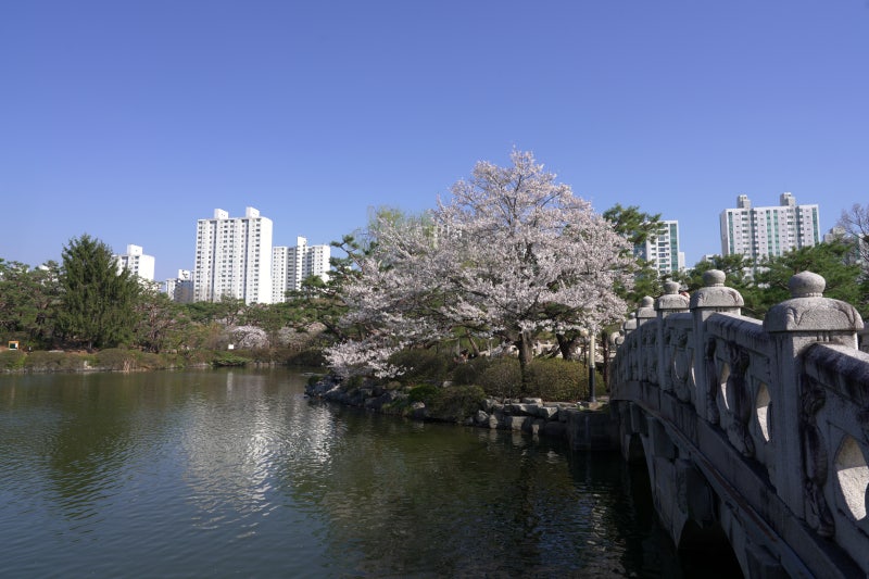 사진 2