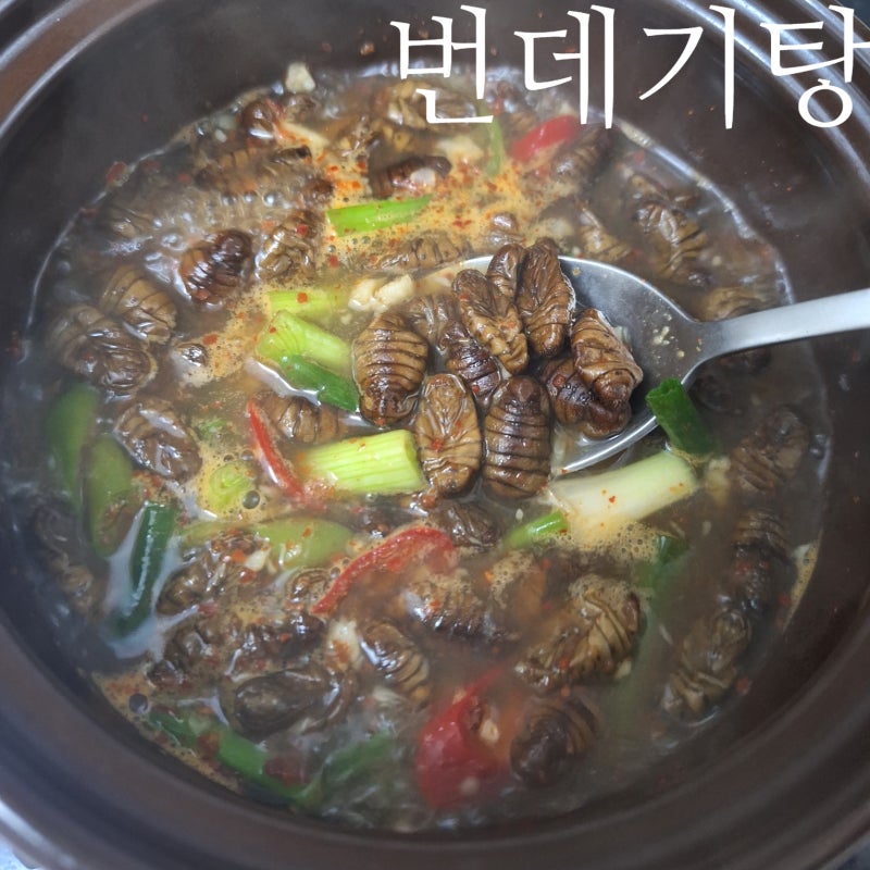 번데기탕 만드는 법 간단 안주 번데기통조림 요리