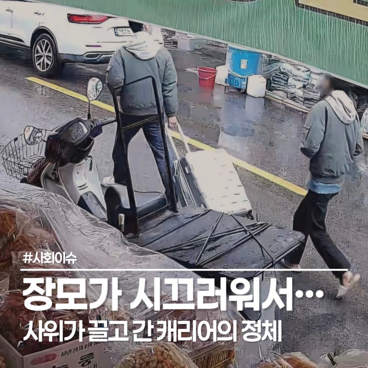  장모 죽인 사위 조재복, 대구 캐리어 신상 공개와 범행 전말