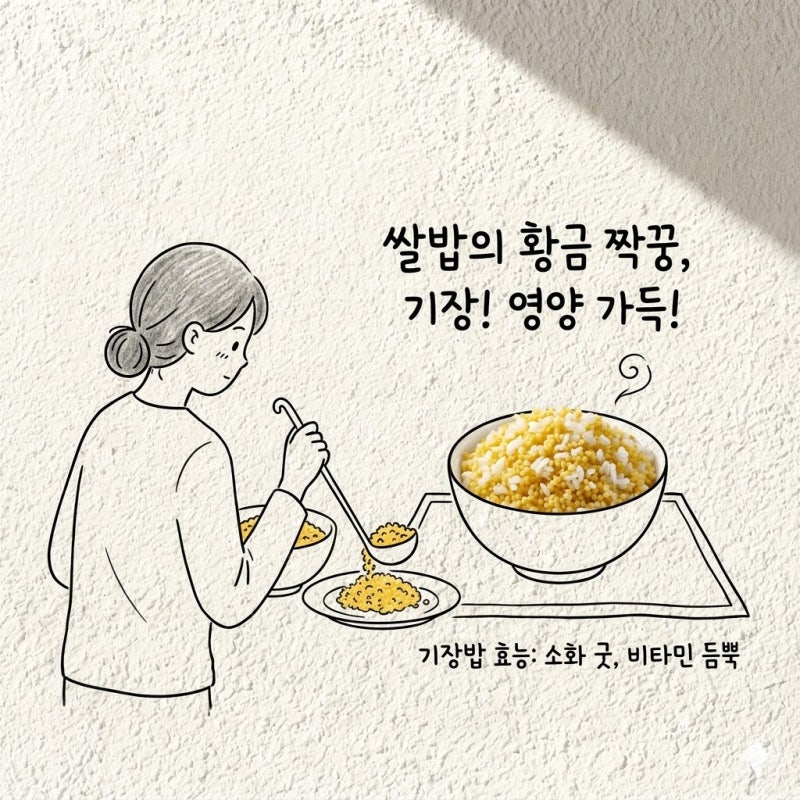 쌀밥의 영원한 황금 짝꿍 기장 기장밥 효능 기장쌀 영양성분