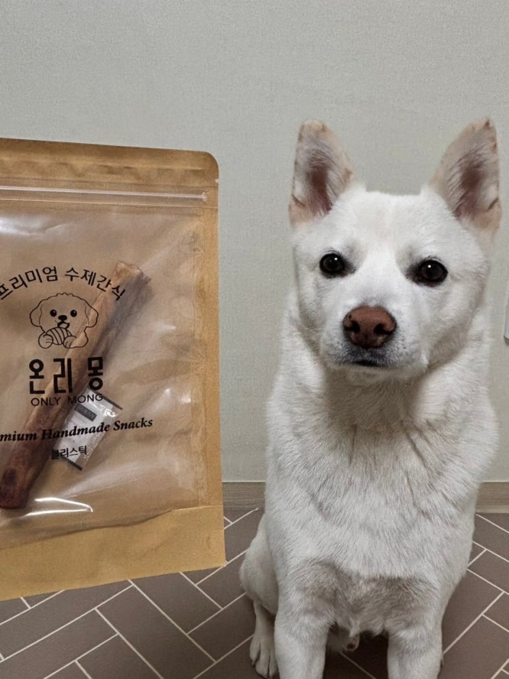  강아지 간식 분리불안 해소용 오래 먹는 불리스틱 수제간식 리뷰