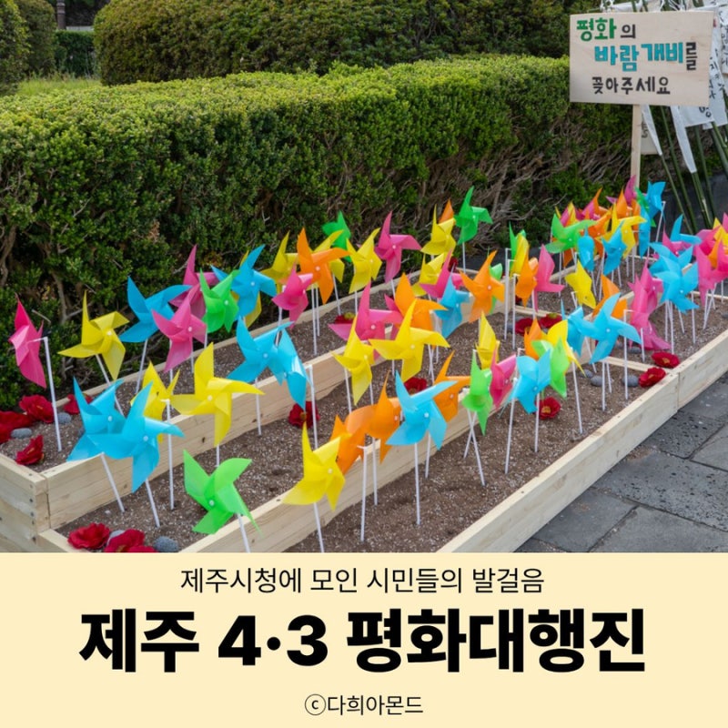 사진 6