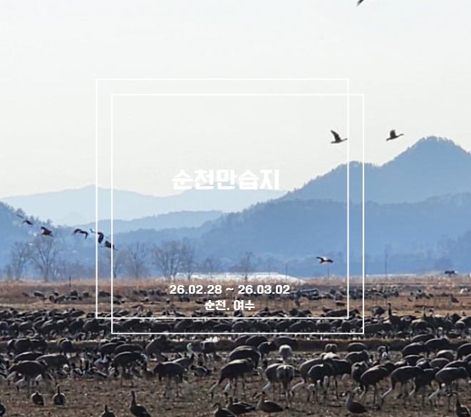사진 3