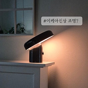 이케아신상 블롬프락트 블루투스 스피커+인테리어조명