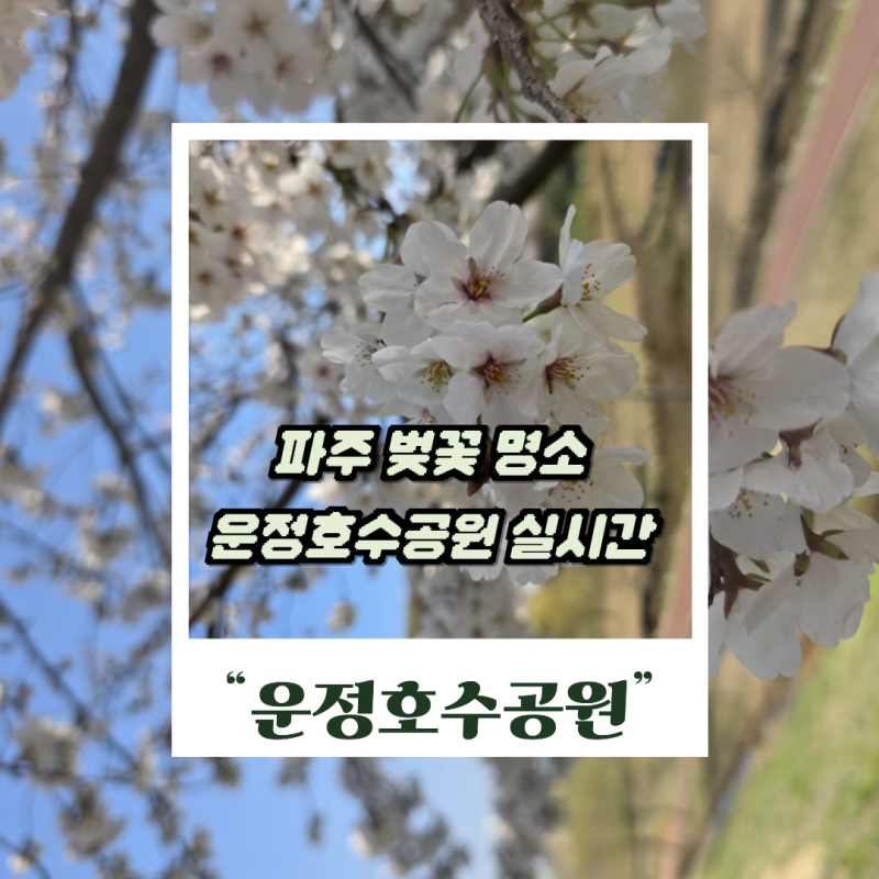 운정호수공원