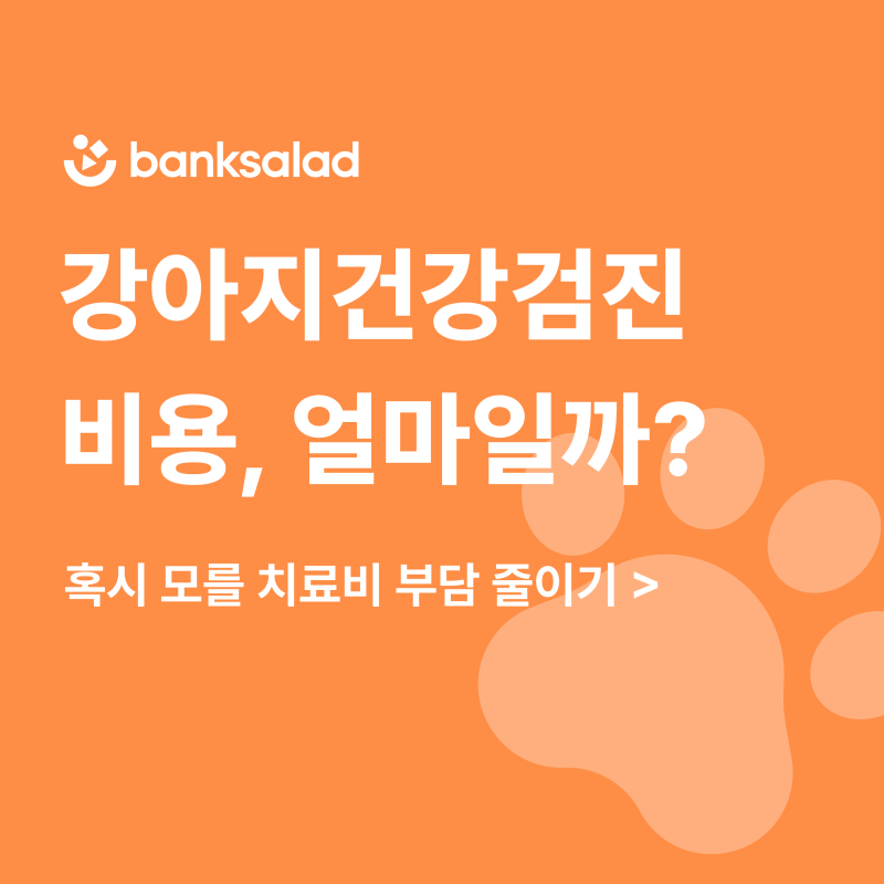 강아지건강검진 비용 | 시기, 주기 | 보험 적용 알아보기
