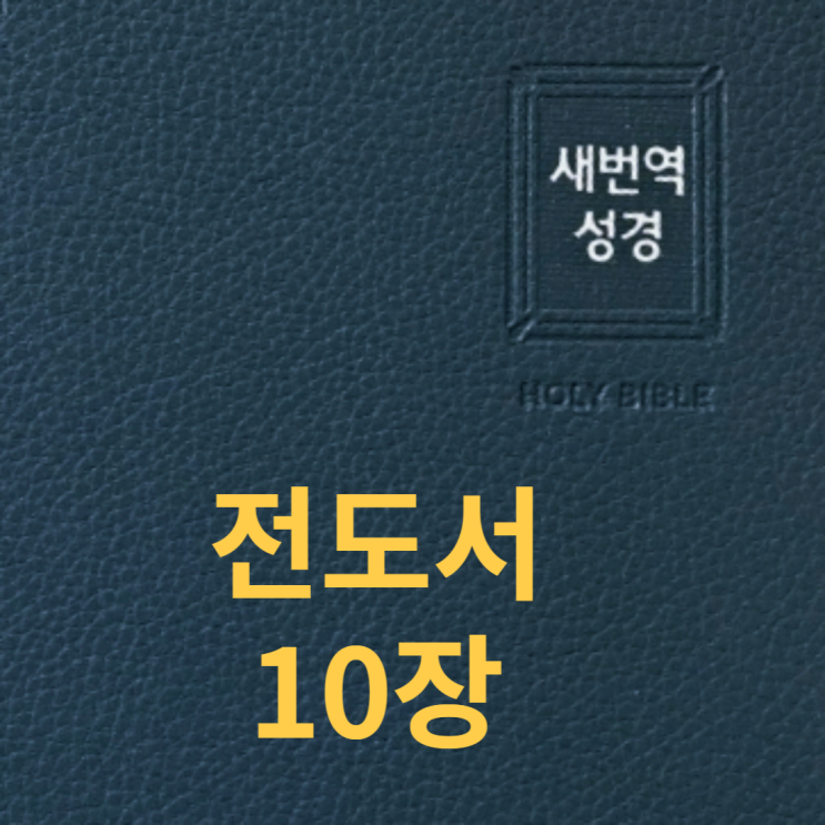  전도서 10장