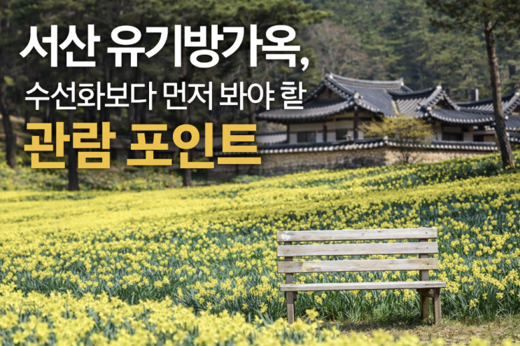  서산 유기방가옥, 수선화보다 먼저 봐야 할 관람 포인트
