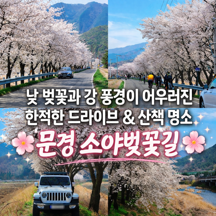  문경 '소야벚꽃길' 벚꽃 명소 추천 4월 5일 방문 후기 및 드라이브 코스