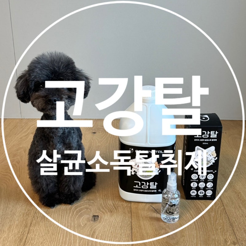 우리 집 필수템 고강탈 고양이강아지살균소독탈취제