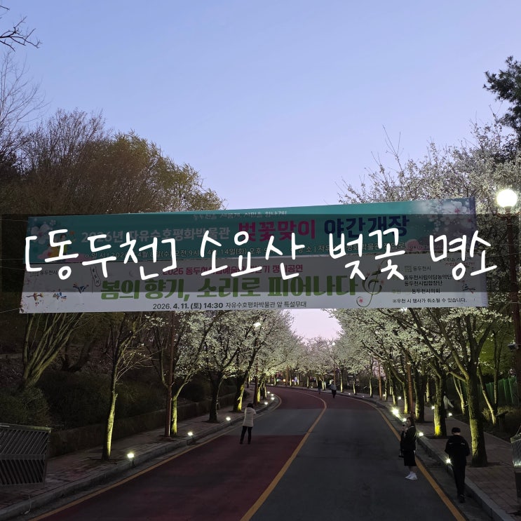  [동두천] 소요산 벚꽃 명소 나들이