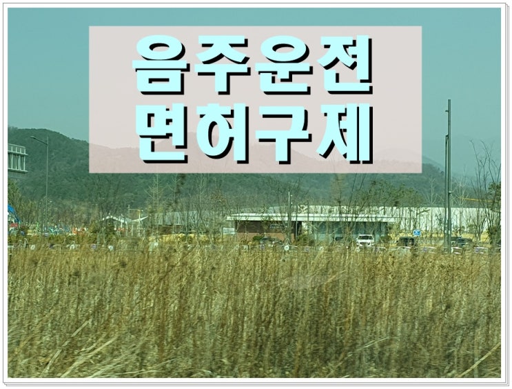  김포 음주운전면허취소 구제 절차 제도 이해하기