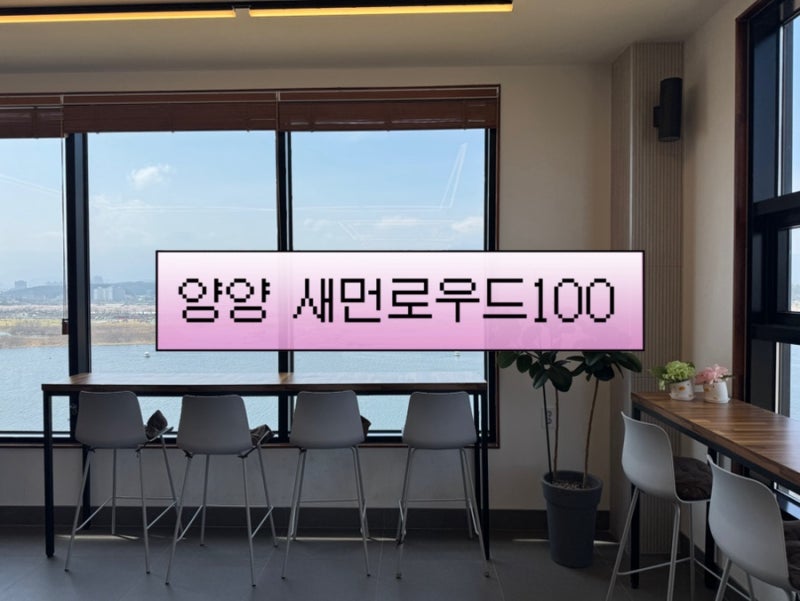 사진 6