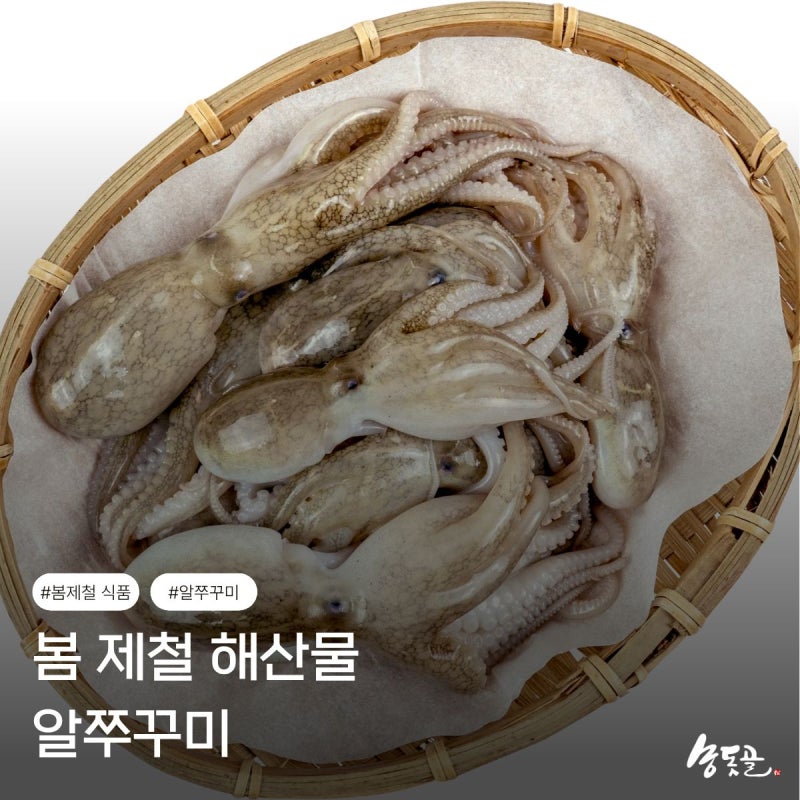 알쭈꾸미 효능과 쉽고 맛있게 먹는 방법