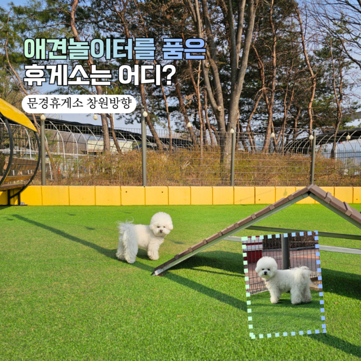  [문경휴게소 창원방향] 경주 애견동반 여행 필수 코스!  무료 펫파크와 맛집 총정리 