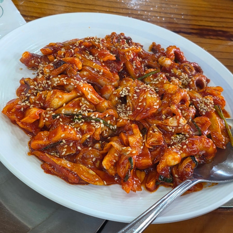 참낙지 사진 4