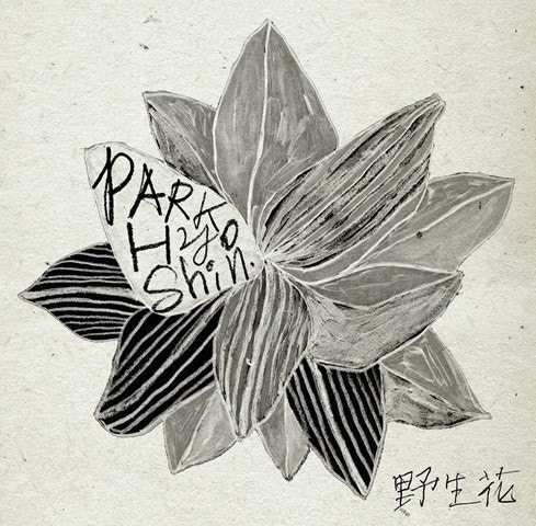노래/가사/해석 | 박효신 - 야생화
