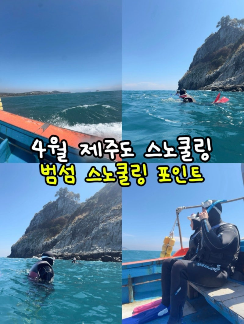 봄여행 제주도 스노클링 체험 가디언다이브 제주호핑 범섬 온수샤워 가능