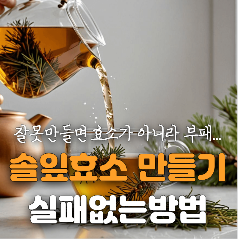 몸에 좋다고 막 만들면 안 됩니다, 솔잎효소 제대로 만드는 법