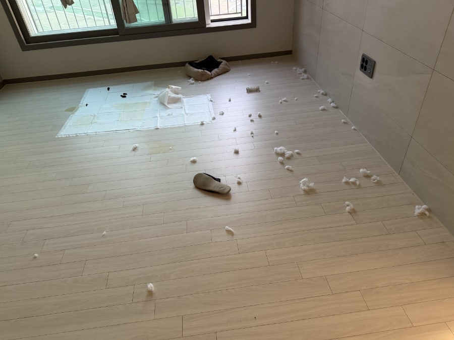 교촌치킨 공도1호점 사진 1