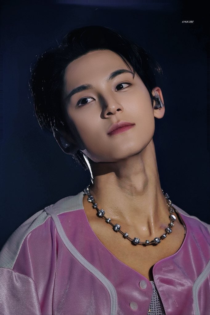 [SEVENTEEN/Mingyu] SEVENTEEN Mingyu: Legendary High-Quality Photo Collection