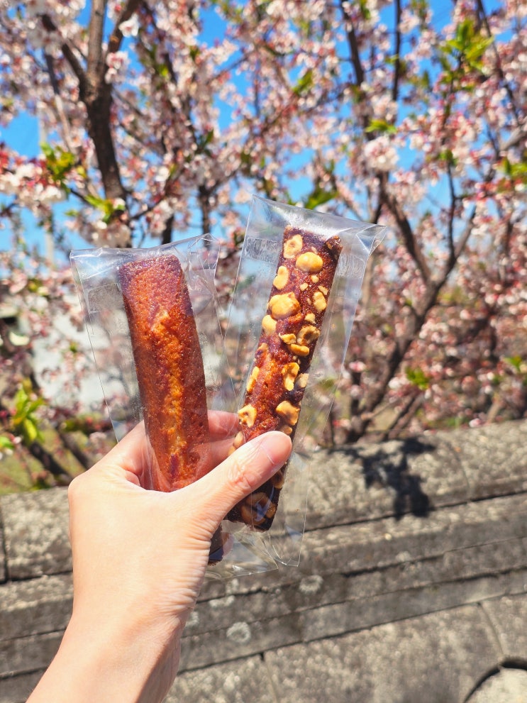  광주 디저트 맛집 동명디저트 동명카츠 광주 피크닉 도시락 배달 후기