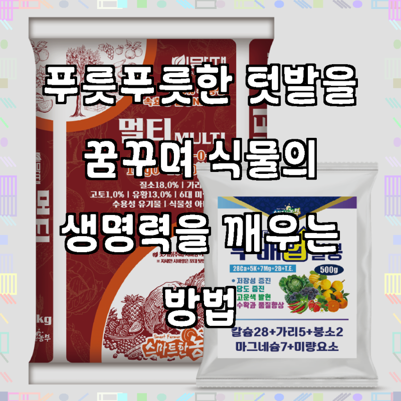 이맘때멀티 NK비료 수용성 추비 웃거름 텃밭 비료 칼슘붕소 영양제