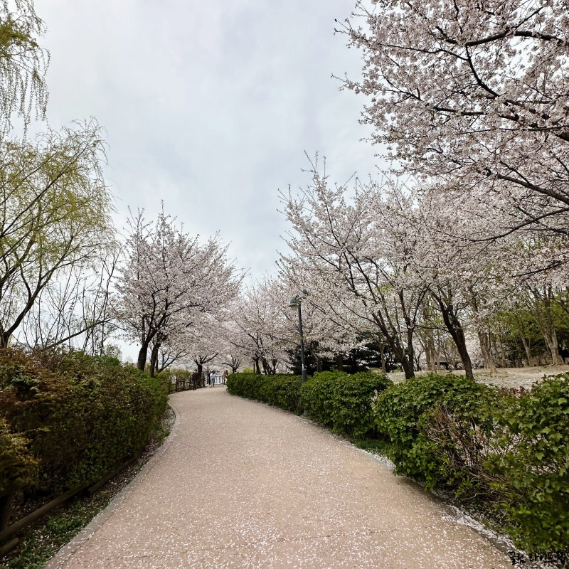사진 6