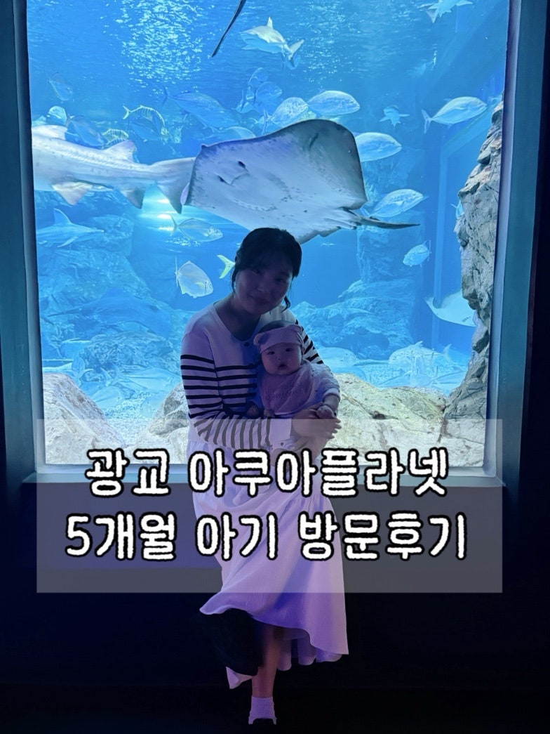 수원 광교 아쿠아리움 ‘아쿠아플라넷‘ | 5개월 아기 반응, 할인방법, 주차, 공연시간표
