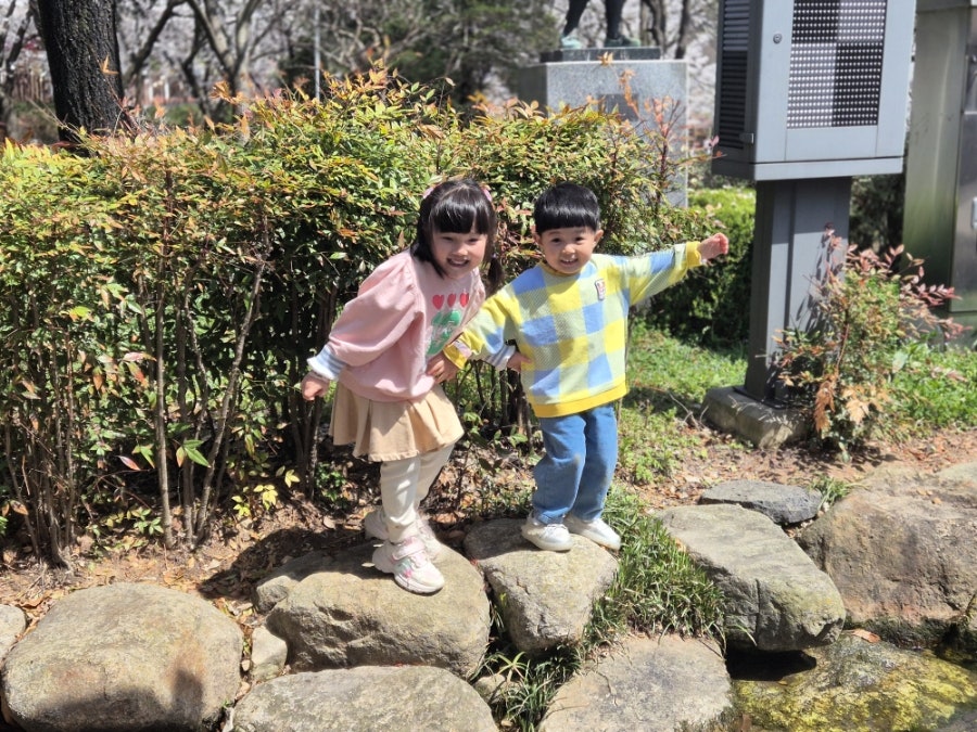 꽃빛 사진 4