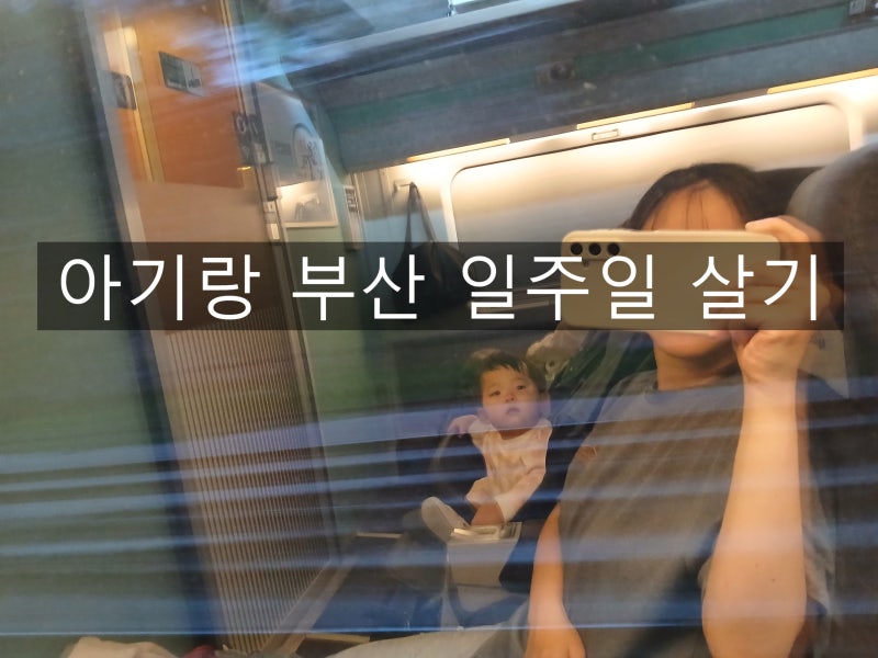 부산 일주일살기 후기｜여행코스·단기숙소·유모차 기차여행 팁 총정리 (송도·다대포·부산....