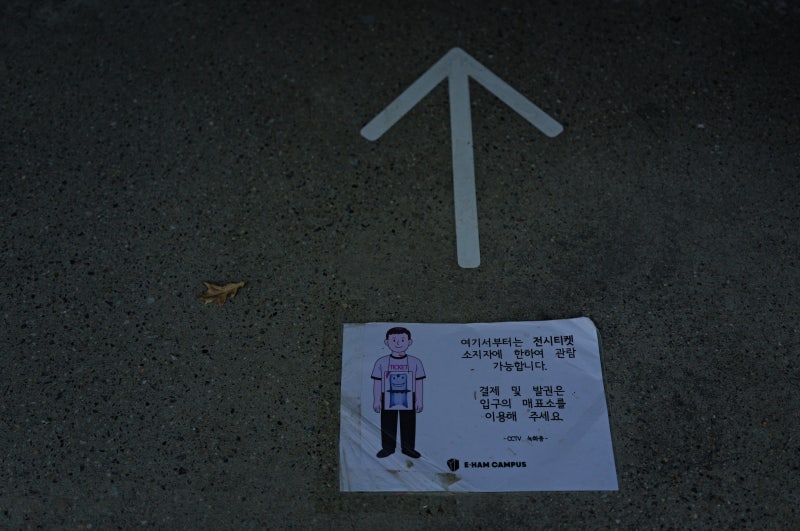 사진 9
