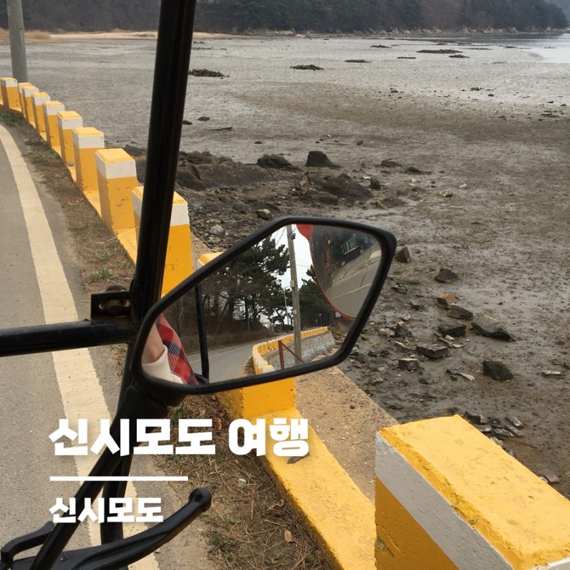 신시모도 스쿠터 여행 | 신시모도 두번째 방문, 안녕 바다 스쿠터 대여하고 굴뚝빵 먹기