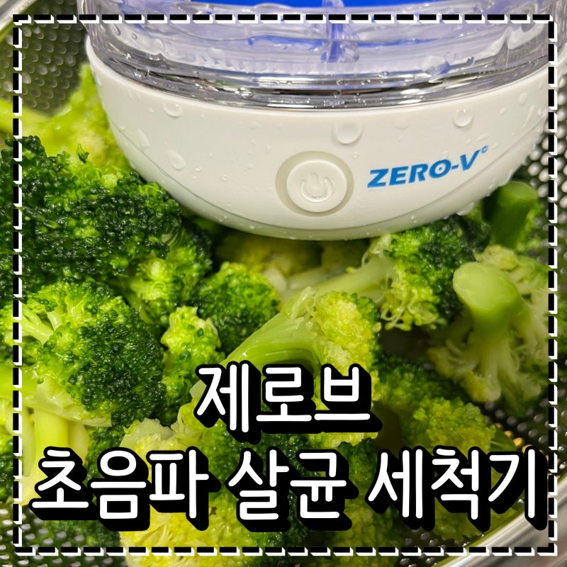 브로콜리 세척 방법 벌레까지 제거하는 과일세척기 제로브