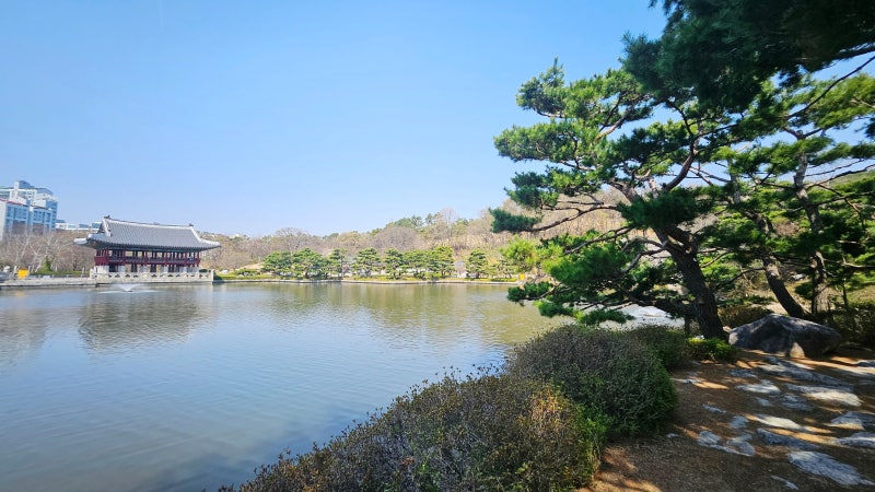 사진 8