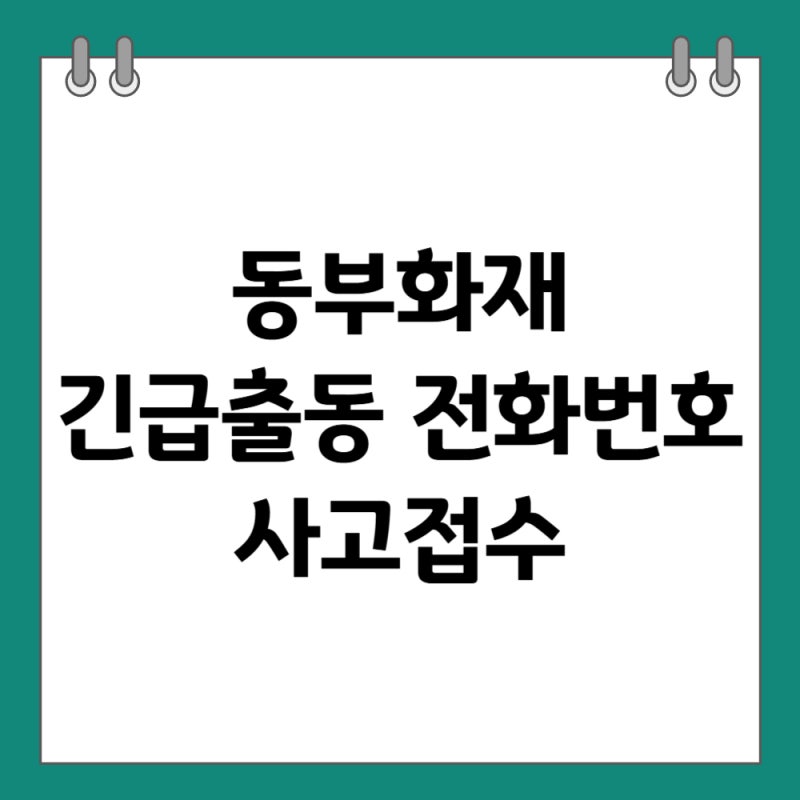 동부화재 긴급출동 전화번호 사고접수 (2026년, 앱신청)