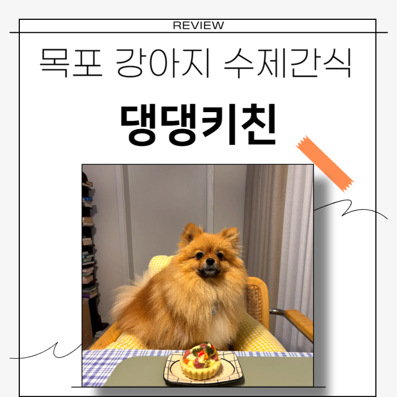 사진 4