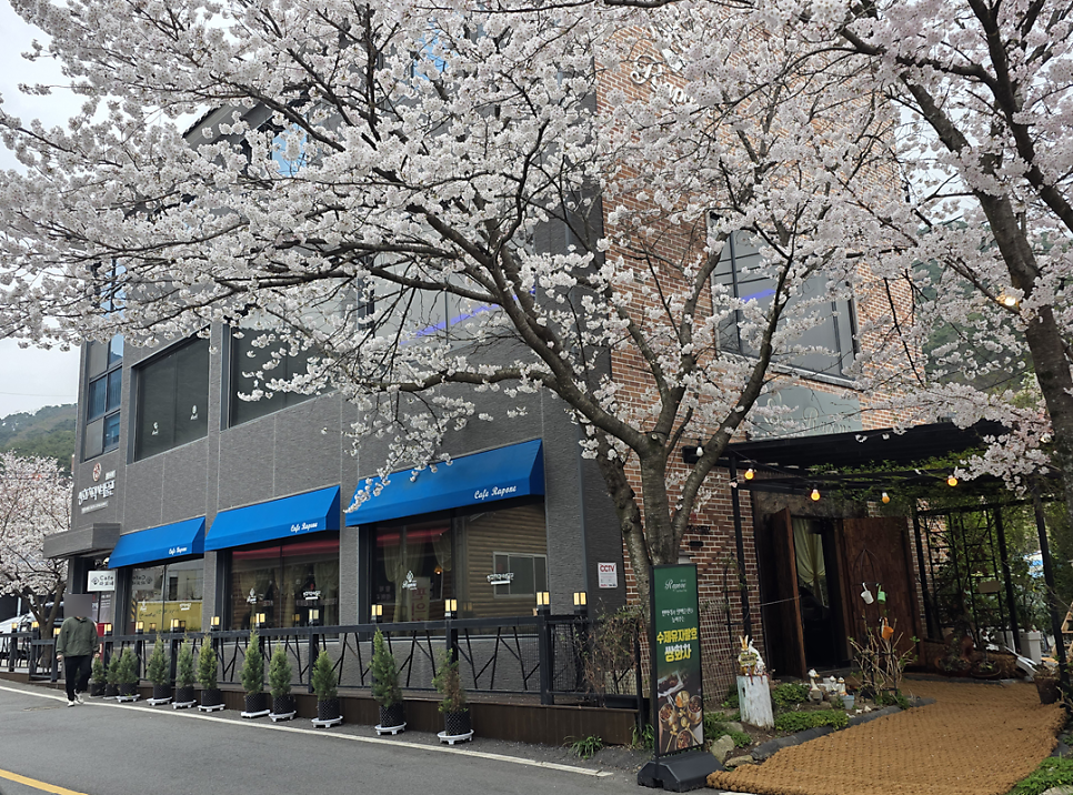 라포네 사진 1