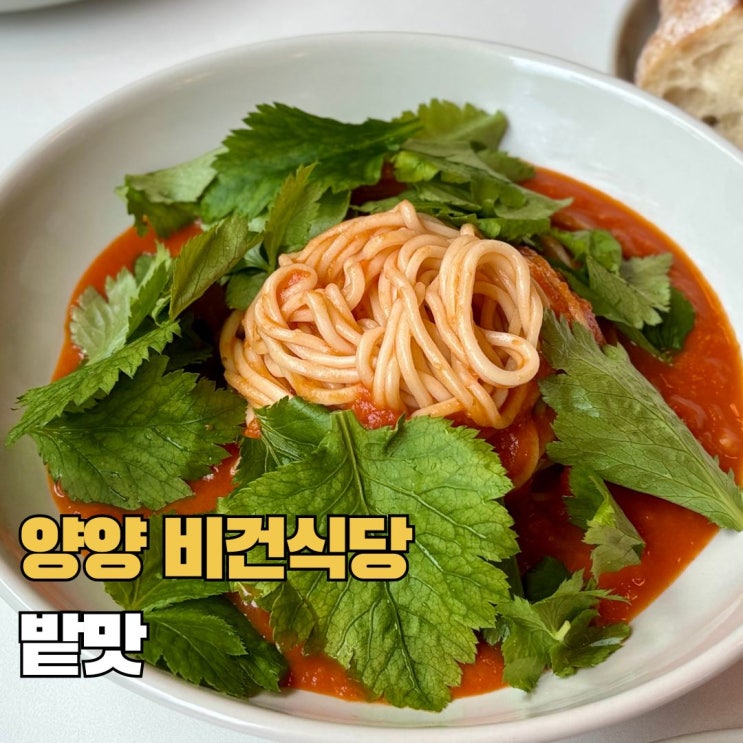  강원도 양양 맛집 밭맛 비건식당 팜투테이블 식당 건강한 한끼 내돈내산 솔직 후기