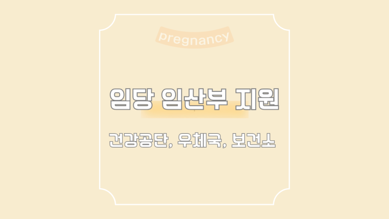 p52. 임당 임산부 산모 3가지 혜택 지원 알아보기_ 당뇨병환자 소모성 재료 지원(건강공단 신....