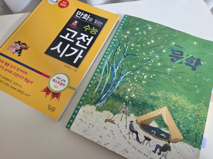  고전시가 공부법 추천 만화로 읽는 수능 고전시가 고등문학내신