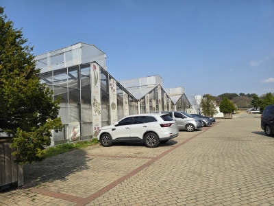 사진 5