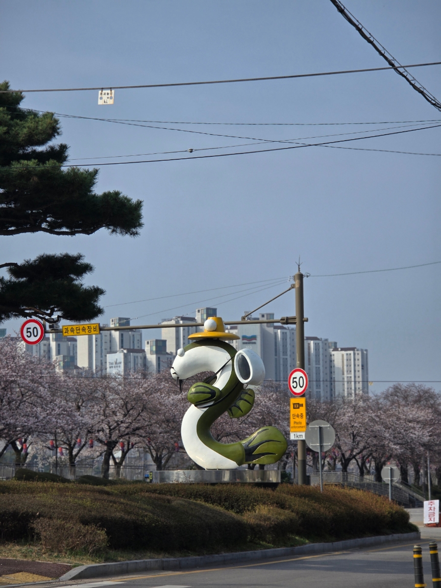 카페모모 사진 5