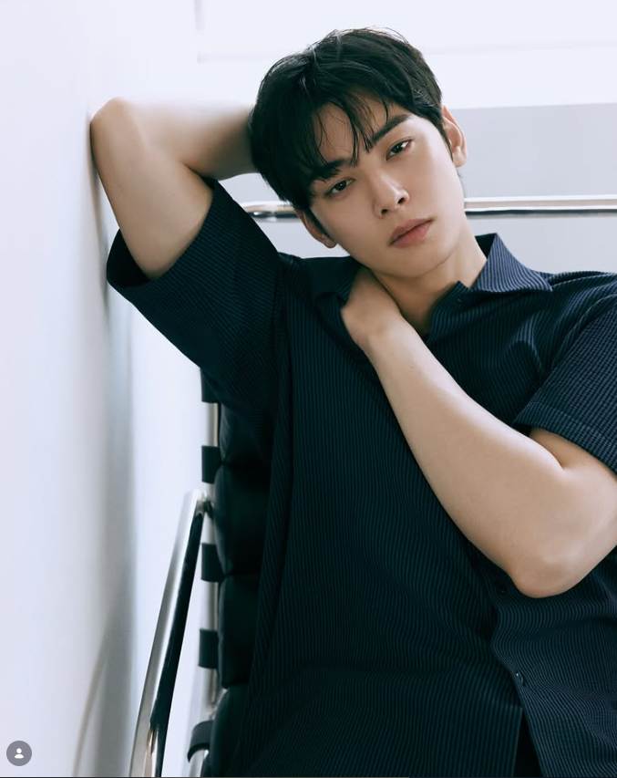  차은우 탈세 논란 입장 발표, 실망시킨 팬들 향한 절절한 반성문