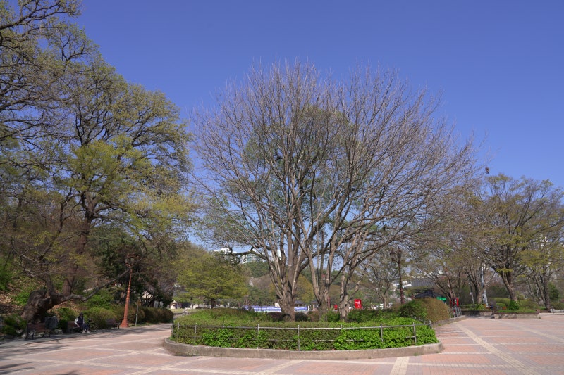 사진 3