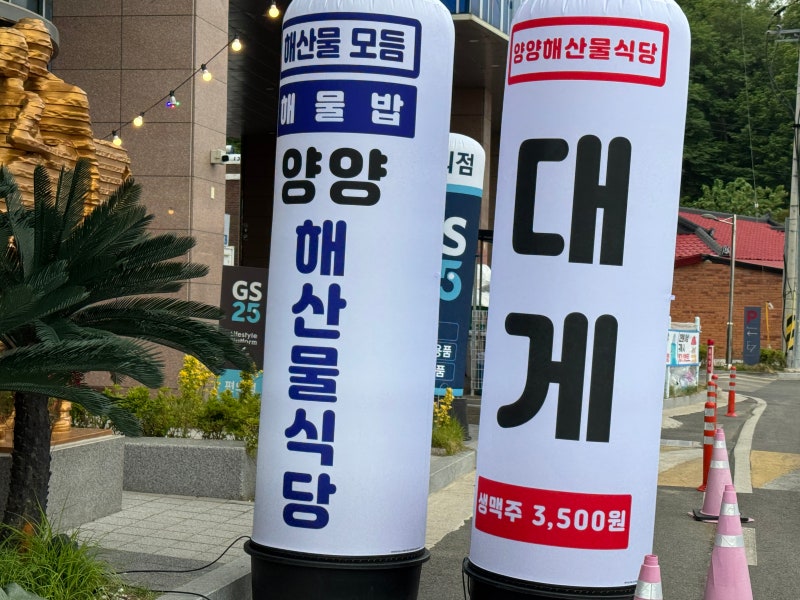 사진 5