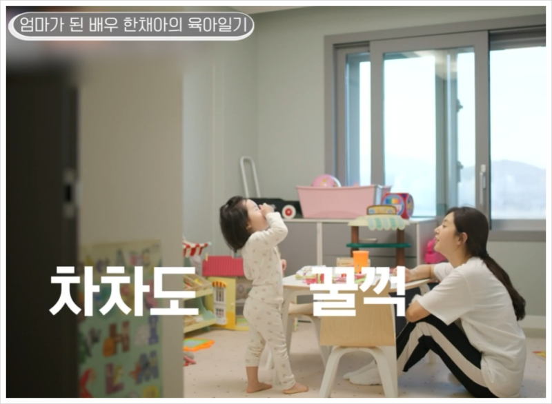 한채아 나이 프로필 및 딸 차봄 최초 공개! 차범근 며느리의 일상