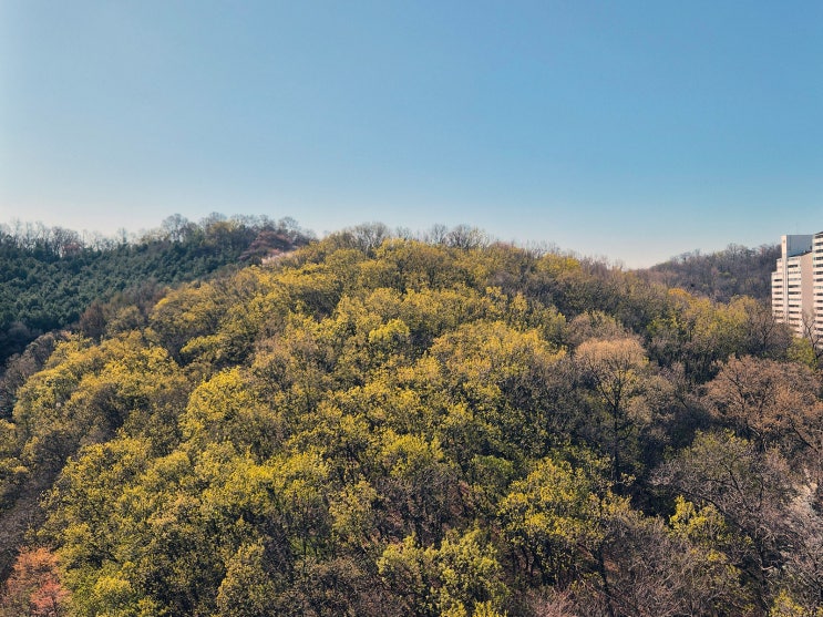 잠시 멈춘 블로그 - 호기심건축사