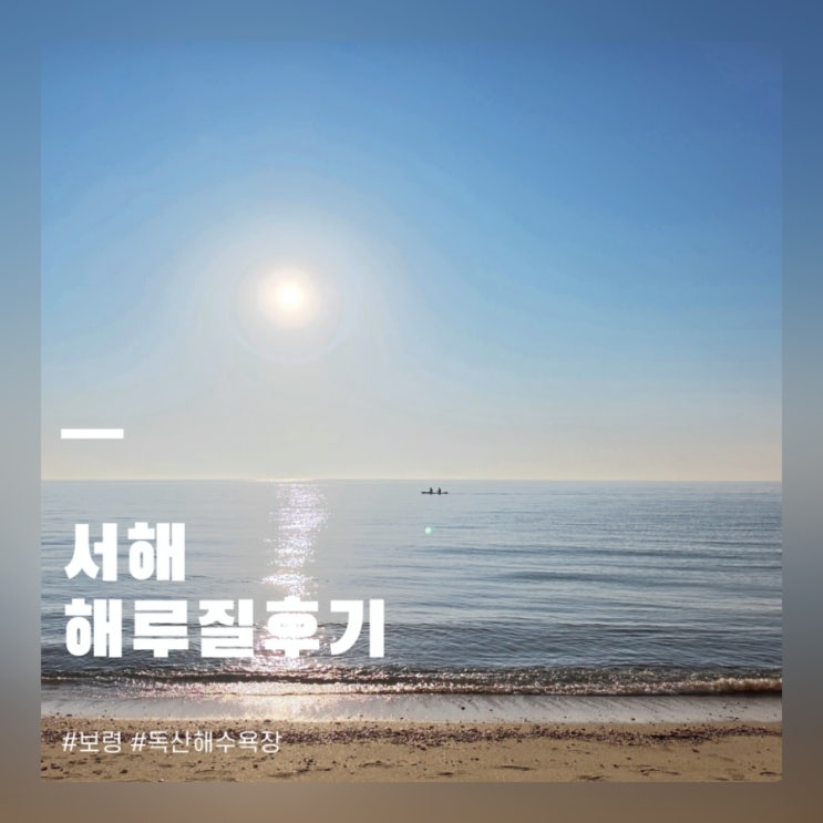  독산해수욕장 해루질 시기 시간대 물때표 보는법 꿀팁 후기