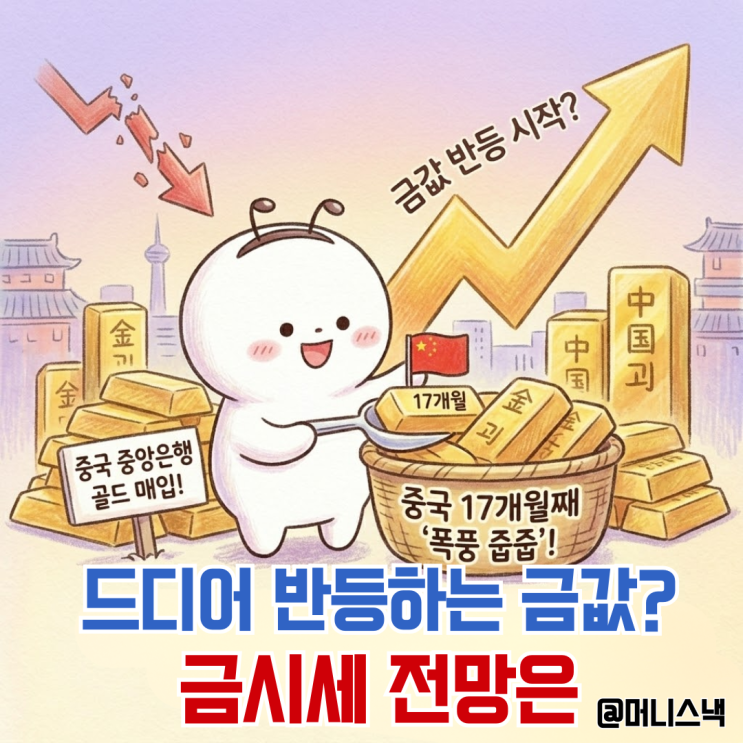 중국은 17개월째 폭풍 줍줍! 반등 시작한 금값 시세와 금시세 전망